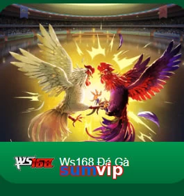 sumvip